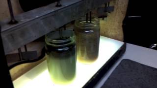 Industrial Wastewater Treatment  Flocculation [upl. by Dhaf974]