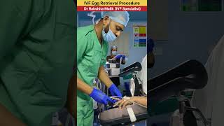 IVF Egg Retrieval Procedure by Dr Rakshita Malik ivfspecialist ivfdoctor ivfcenter ivfsuccess [upl. by Assetnoc]