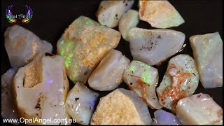 Andamooka Crystal Opal Rough Parcel 160ct [upl. by Lorant939]