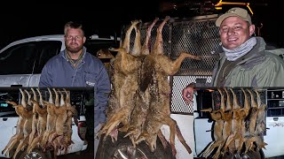 Night Varminting 35 Jackals and 4 Porcupines in South Africa  WARNING MULTIPLE IMPACT SHOTS [upl. by Faber]