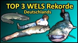 Top 3 Rekord WELS Deutschlands  258 Meter WELS [upl. by Saitam]