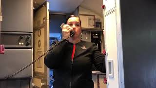 Southwest Airlines flight attendant chokes up thanking Honor Flight veterans [upl. by Abie]