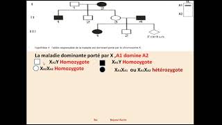 correction exercice génétique humaine bac 2021 [upl. by Annayar]