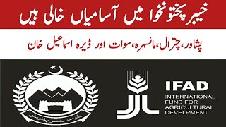 KPK planning and development department government Jobs 2024 Peshawar Chitral Swat [upl. by Nara]