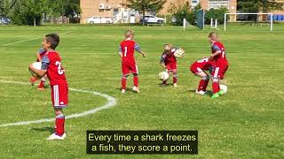 MHYSC Active Start Curriculum Activity Fish vs Sharks [upl. by Girand]