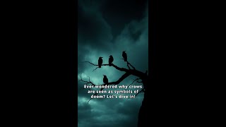 Crows Misunderstood Symbols of Doom [upl. by Larkins]