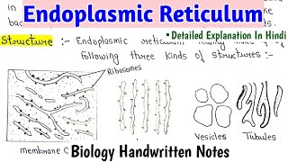 Endoplasmic Reticulum  Types  Cell Biology Handwritten Notes bscnotes biology [upl. by Aciret686]