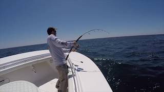 Shark Fishing Block Island [upl. by Mundt]