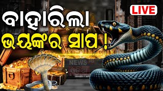 Ratna Bhandar Live ଖୋଲିଲା ରତ୍ନଭଣ୍ଡାର  Puri Srimandir Ratna Bhandar  Jagannath Temple  Odia News [upl. by Michelle592]