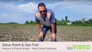 Herbicidal Injury in Soybean PREs with Dan Fuhr amp Steve Roehl  In The Field Episode 17 [upl. by Morty]