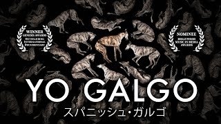 Yo Galgo  Full Documentary [upl. by Greggs512]