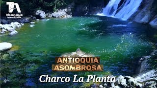 Antioquia Asombrosa Charco La Planta  Teleantioquia [upl. by Ponzo]