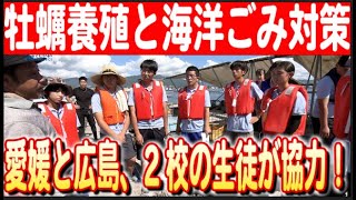 【未来の海を守るために】牡蠣養殖と海洋ごみ対策を学ぶ！高校生のフィールドワークで広がる海の知識 日本財団 海と日本PROJECT in 広島 2024 16 [upl. by Xila]