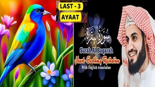 Surah Al Baqarah❤️اواخر سورة البقرsurah baqarah with english translation مشاري بن راشد العفاسي [upl. by Atselec74]