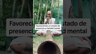 Las vibraciones de didgeridoo soundhealing terapiadesonido meditacion [upl. by Josie]