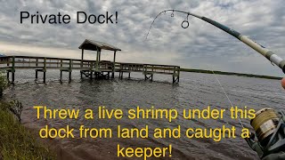 Fishing A1A from land in NE Florida and catching keepers [upl. by Ahsahs597]