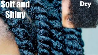 How To Moisturize DRY Low Porosity Natural Hair [upl. by Batruk]