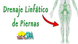 DRENAJE LINFÁTICO DE PIERNAS EN TRES PASOS AUTOMASAJE [upl. by Noryak]