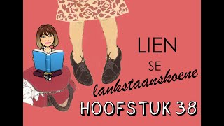 Lien se lankstaanskoene  Hoofstuk 38 Summary  Afrikaans FAL [upl. by Nyroc]