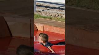 World’s Largest Jello Pool [upl. by Ruthie]