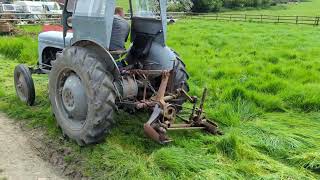 Massey Ferguson Te20 mowing [upl. by Duke]