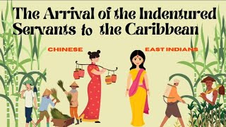 The Arrival of the indentured Servants to the Caribbean  Grades 46 [upl. by Nylhtak]