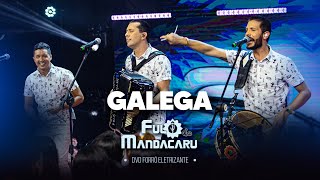 GALEGA  Fulô de Mandacaru DVD Forró Eletrizante [upl. by Newnorb]