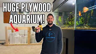 Building the DIY Plywood Aquarium  Just How Big Is It [upl. by Nnylkoorb]