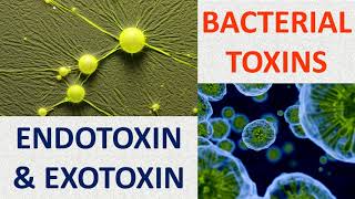 Bacterial toxins Endotoxin amp Exotoxin [upl. by Rolyab28]