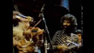 Stéphane Grappelli and David Grisman  Sweet Georgia Brown San Francisco 1982 official HQ video [upl. by Wandie527]