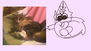 Drawing my cat until she becomes an incomprehensible shape… filler [upl. by Nelleus]