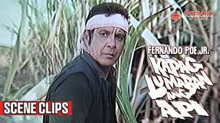 KAPAG LUMABAN ANG API 1987  SCENE CLIPS 1  Fernando Poe Jr Miguel Rodriguez Rio Locsin [upl. by Jadd]