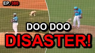 Bat Dog Disaster 🐶💩⚾️ [upl. by Nnek]