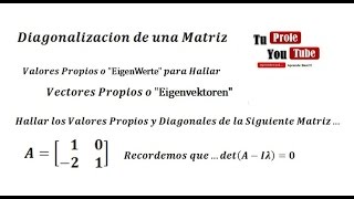 Valores Propios de una Matriz Diagonal TuProfeYouTube [upl. by Ravert]