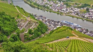 German Riesling Wine Journey [upl. by Cheney547]