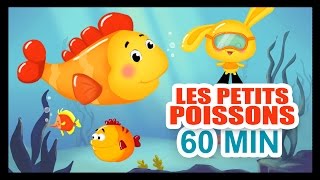 Les petits poissons dans leau  1H DE COMPTINES POUR LES PETITS  Titounis [upl. by Amabel373]