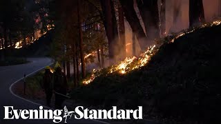 Wildfire threatens Yosemite’s giant sequoias  the world’s largest trees [upl. by Artemis]