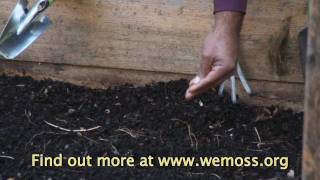 Vegetable Garden How to Sow Seeds in a Raised Bed Garden [upl. by Nylirehc978]