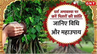 Darsh Amavasya पर धन की होगी प्राप्ति और पितृदोष से मिलेगा छुटकारा लेकिन कैसे जानिए [upl. by Dranek]