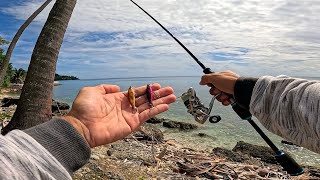 THE EDGE ANGLERS CAN BE CONFIDENT WITH THIS MICRO BAIT METHOD [upl. by Avi558]