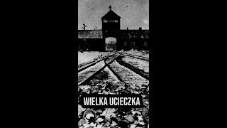 shorts Ucieczka 50 więźniów Auschwitz Birkenau [upl. by Aldos604]