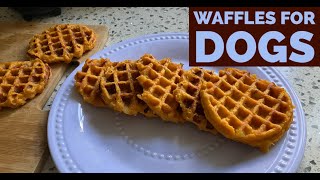 WAFFLES NUTRITIVOS PARA NUESTROS PERRITOS [upl. by Suiremed]