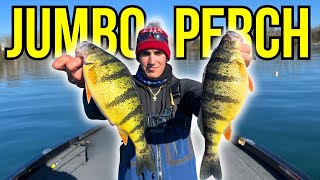 Lake Simcoe Perch Fishing [upl. by Marquet]