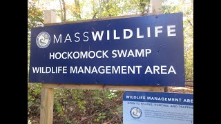 Hockomock Swamp Jam [upl. by Dorehs887]