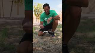 How to Get Rid of Lawn Thatch [upl. by Oram]