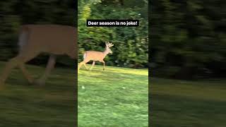 Deer Season and Car Insurance gooseheadgal automobile insurance [upl. by Scheers]