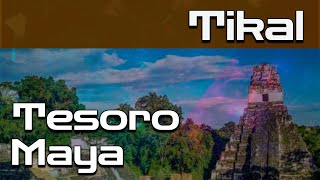 Tikal y su mitología La gran ciudad Maya [upl. by Kobi235]