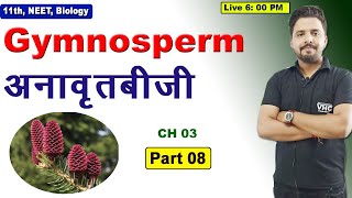 Part 08 Gymnosperm अनावृतबीजी 11th Biology [upl. by Ttebroc]