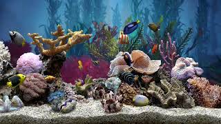 Very Relaxing Fish Tank Aquarium With Water Sound For Focus  No Music  HD [upl. by Luapleahcim546]