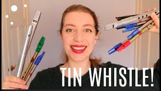 Intro to TIN WHISTLE  Team Recorder [upl. by Eceirehs]